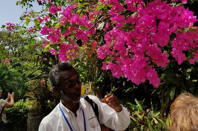 The Grand Tour of St. Kitts - Shopping and water time: where the day becomes yours
