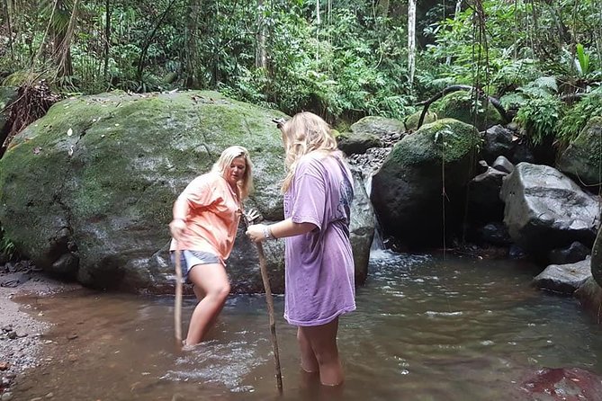 Tropical Rain Forest Explorer Hike In St. Kitts - Transfers and timing: how to fit it into your St. Kitts day