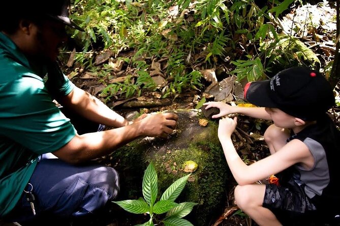 Tropical Rain Forest Explorer Hike In St. Kitts - Wing Field River and volcanic rocks: where geology becomes visible