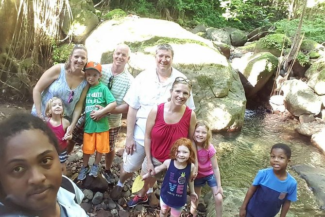 Tropical Rain Forest Explorer Hike In St. Kitts - A half-day rainforest plan that still feels like a real outing