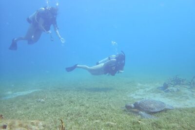 VIP Private Guided Scuba Diving/Snorkeling Excursion