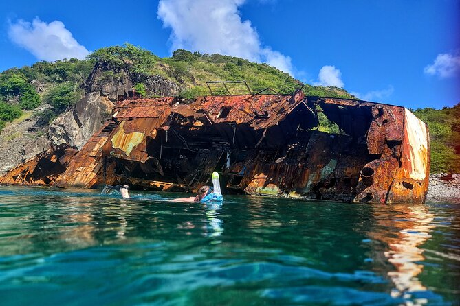VIP Private Guided Scuba Diving/Snorkeling Excursion - Scuba options: certified-guided sessions and first-time try-outs