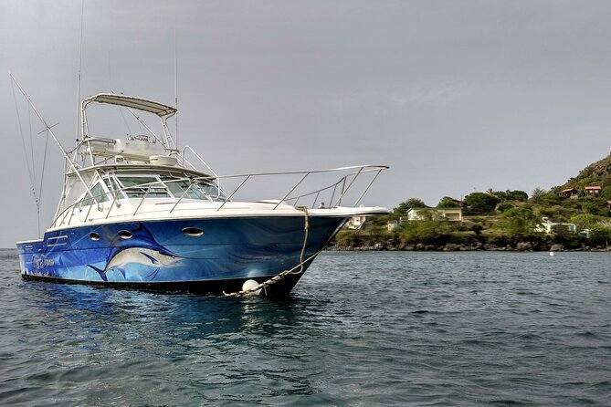 VIP Private Guided Scuba Diving/Snorkeling Excursion - Snacks, beer or soft drinks, and the onboard comforts