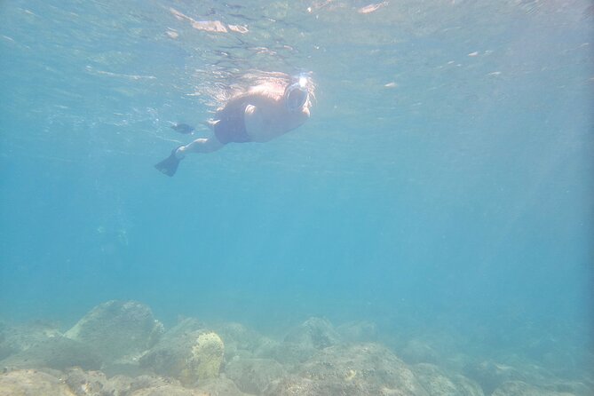 VIP Private Guided Scuba Diving/Snorkeling Excursion - Price and value: what you pay for at $600 per person