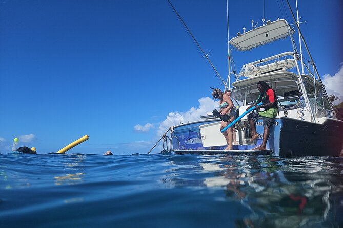 VIP Private Guided Scuba Diving/Snorkeling Excursion - Who this VIP cruise makes the most sense for