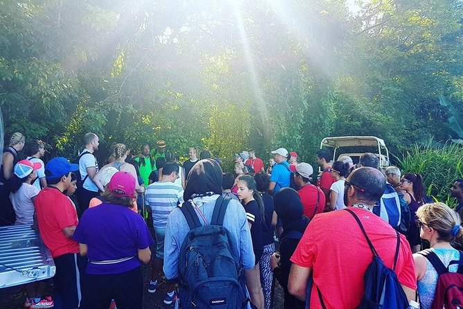 Volcano Caldera (Mt. Liamuiga) Trek / Hike - Mt. Liamuiga Up Close: Why This Trek Feels Like More Than a Walk