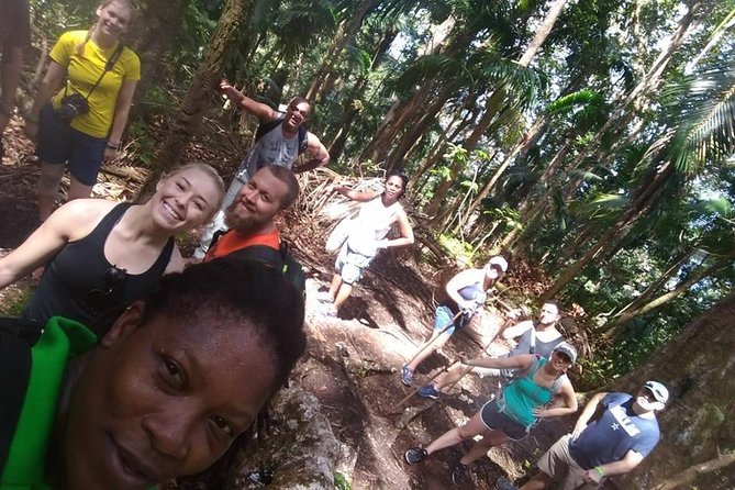 Volcano Caldera (Mt. Liamuiga) Trek / Hike - The Crater Portion: Opening of a Volcanic Cone Near the Rim