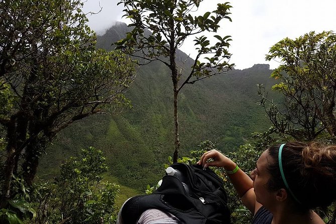 Volcano Crater Hiking Tour in St Kitts - The descent and the Land Rover ride back to your hotel