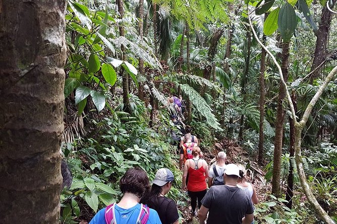 Volcano Crater Hiking Tour in St Kitts - Packing smart: the few items that change the whole day