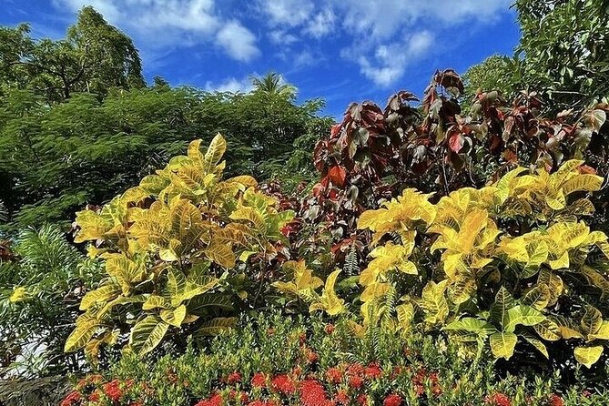 Wingfield Rainforest Adventure Hike and Caribelle Batik stop - A practical St Kitts mix, rainforest steps plus Caribelle Batik