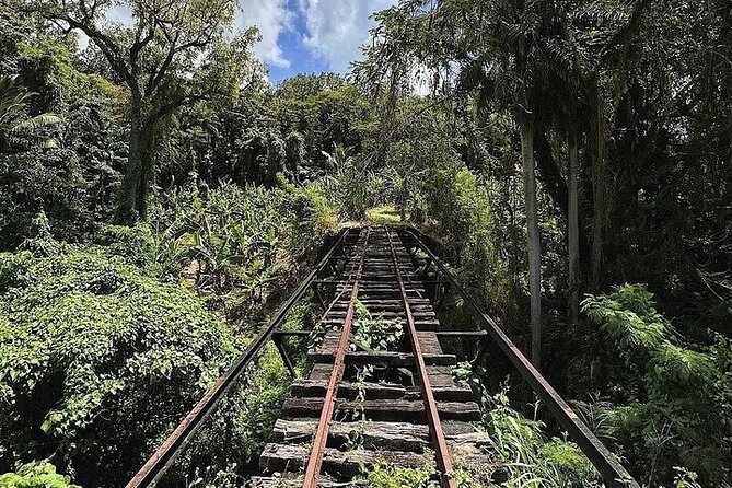Wingfield Rainforest Adventure Hike and Caribelle Batik stop - Price and value, is $69.99 fair for 3 hours?