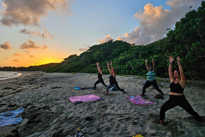 Yoga and Meditation, Group or Private Sessions in Nevis - Key Highlights You’ll Care About