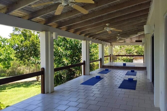Yoga and Meditation, Group or Private Sessions in Nevis - Small-Group Yoga Flow (Up to 10): How You Get Personal Attention Without Paying for Private