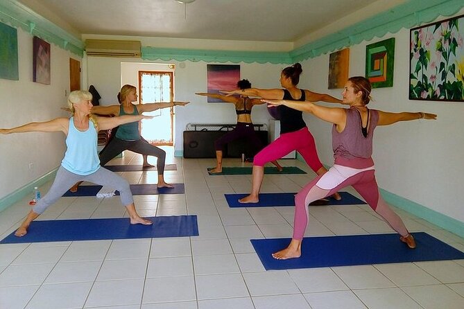 Yoga and Meditation, Group or Private Sessions in Nevis - Private Yoga Sessions: Why This Option Works So Well for Your Schedule